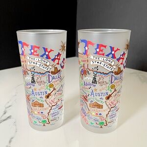 SET of 2 Texas Highball Tumblers by Cat Studio